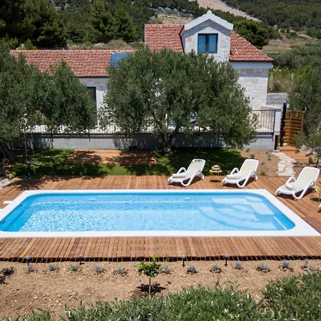 Olea Lux Bol